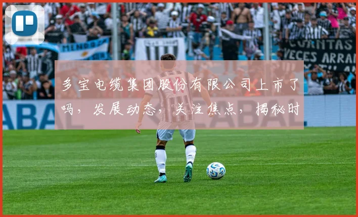 多宝电缆集团股份有限公司上市了吗，发展动态，关注焦点，揭秘时刻，不容错过