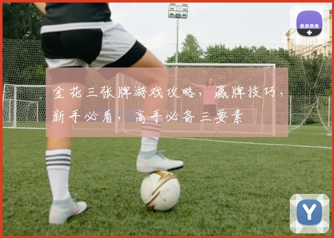 金花三张牌游戏攻略，赢牌技巧，新手必看，高手必备三要素